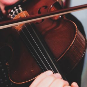 types of string instruments