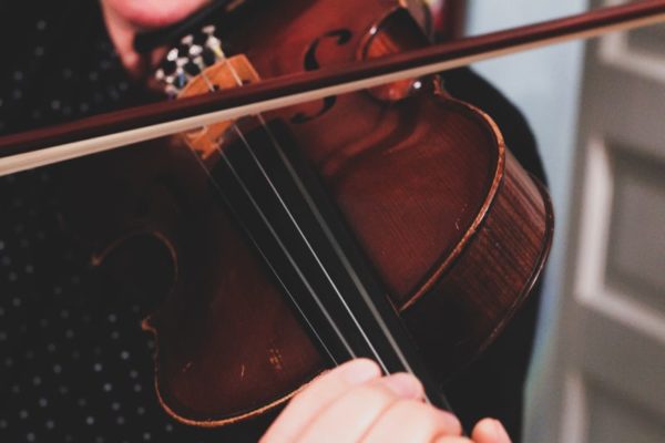 types of string instruments